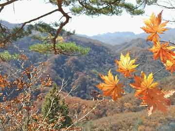 饭来张口
