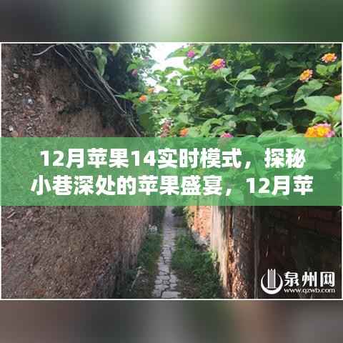 探秘苹果盛宴,独家体验苹果14实时模式下的秘密小巷