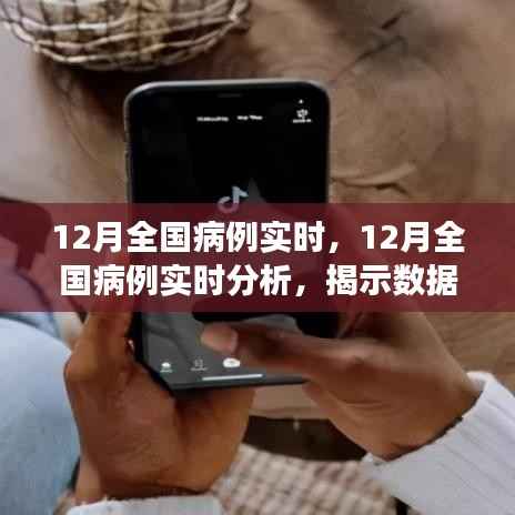 揭秘真相与观点之争,12月全国病例实时分析与解读