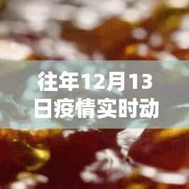 历年12月13日疫情下的坚守与希望,深度解析实时动态纪录片回顾