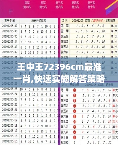 王中王72396cm最准一肖,快速实施解答策略_tool9.793
