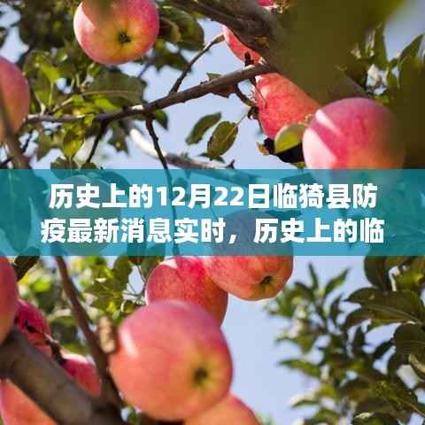 透过实时消息看临猗县防疫之路,历史进展与最新动态