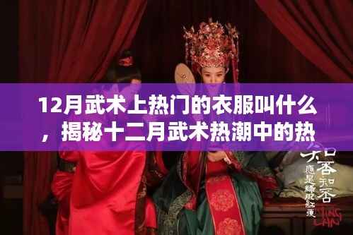 揭秘十二月武术热潮中的热门服饰名称,武术服装流行趋势解析