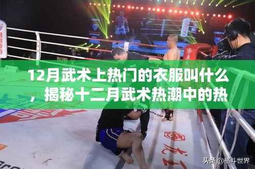 揭秘十二月武术热潮中的热门服饰名称,武术服装流行趋势解析