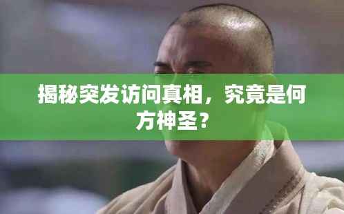 揭秘突发访问真相,究竟是何方神圣?