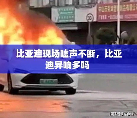 比亚迪现场嘘声不断,比亚迪异响多吗