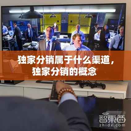 独家分销属于什么渠道,独家分销的概念