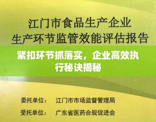 紧扣环节抓落实,企业高效执行秘诀揭秘