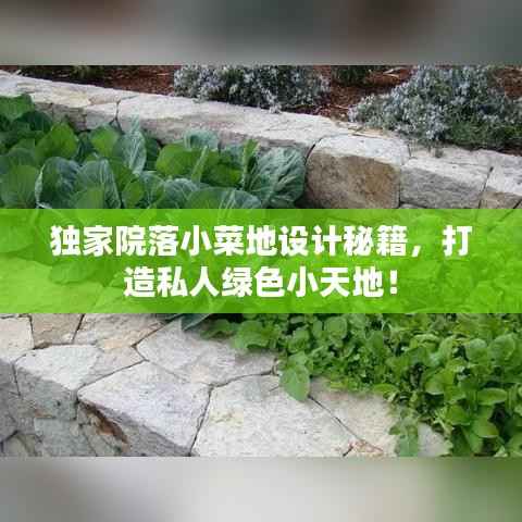 独家院落小菜地设计秘籍,打造私人绿色小天地!