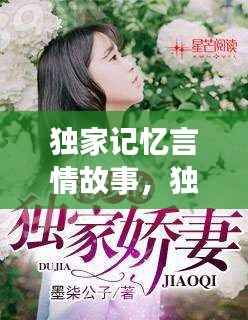 独家记忆言情故事,独家记忆小说虐不虐