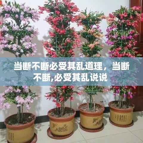当断不断必受其乱道理,当断不断,必受其乱说说