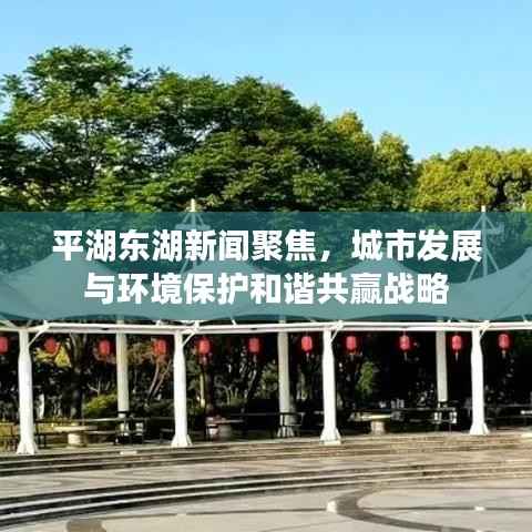 平湖东湖新闻聚焦,城市发展与环境保护和谐共赢战略