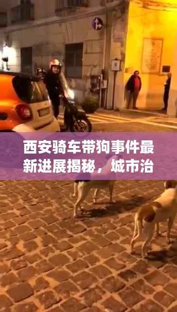 西安骑车带狗事件最新进展揭秘,城市治理新动向引发关注