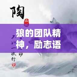 狼的团队精神,励志语录激发无限潜能