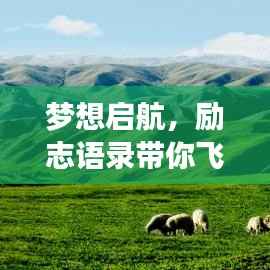 梦想启航，励志语录带你飞向成功之巅