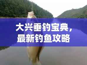 大兴垂钓宝典，最新钓鱼攻略全攻略