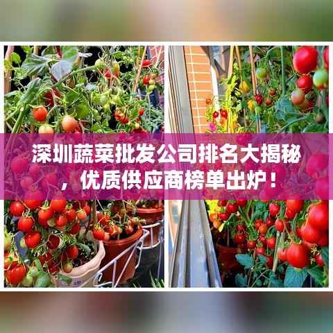 天生万物，唯人为贵 第3页