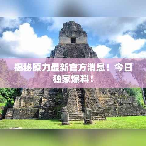 揭秘原力最新官方消息!今日独家爆料!