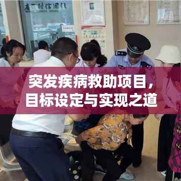 突发疾病救助项目,目标设定与实现之道