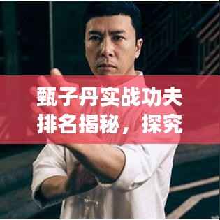 甄子丹实战功夫排名揭秘,探究武术巨星的超凡实力