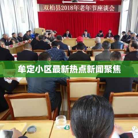 牟定小区最新热点新闻聚焦