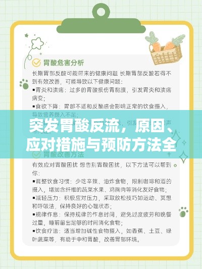 突发胃酸反流,原因、应对措施与预防方法全解析