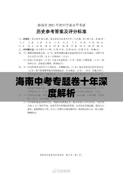 海南中考专题卷十年深度解析
