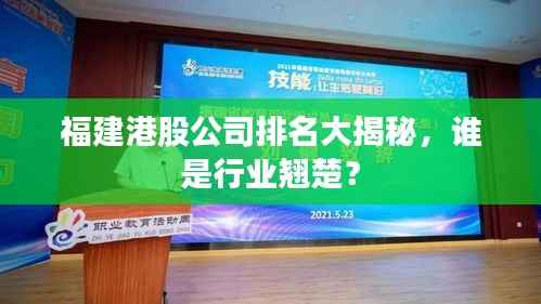 福建港股公司排名大揭秘,谁是行业翘楚?