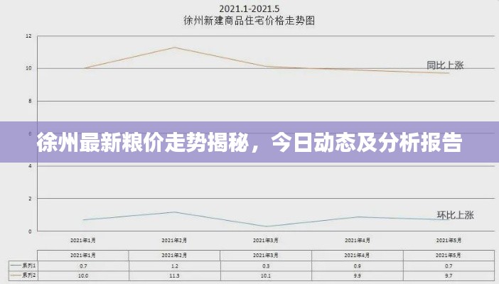 徐州最新粮价走势揭秘,今日动态及分析报告