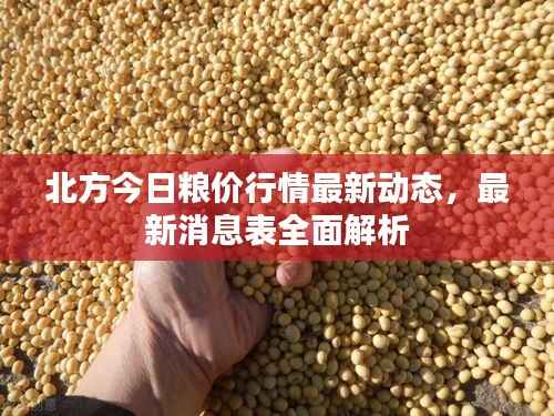 北方今日粮价行情最新动态,最新消息表全面解析