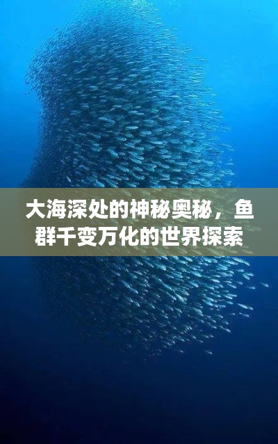 大海深处的神秘奥秘,鱼群千变万化的世界探索