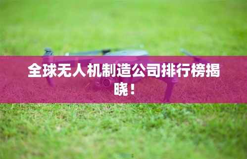 全球无人机制造公司排行榜揭晓!