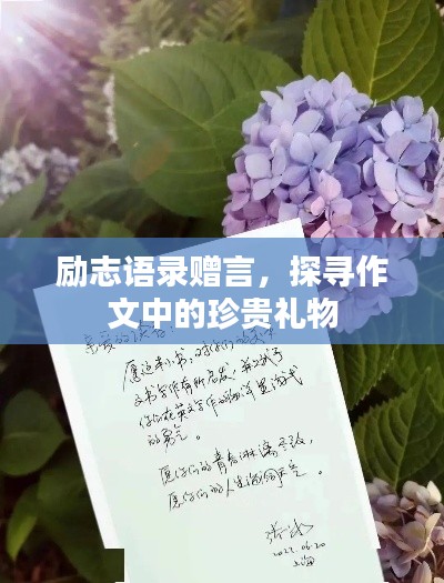 励志语录赠言,探寻作文中的珍贵礼物