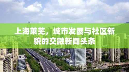 上海莱芜,城市发展与社区新貌的交融新闻头条