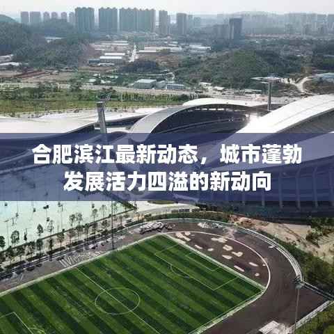 合肥滨江最新动态,城市蓬勃发展活力四溢的新动向